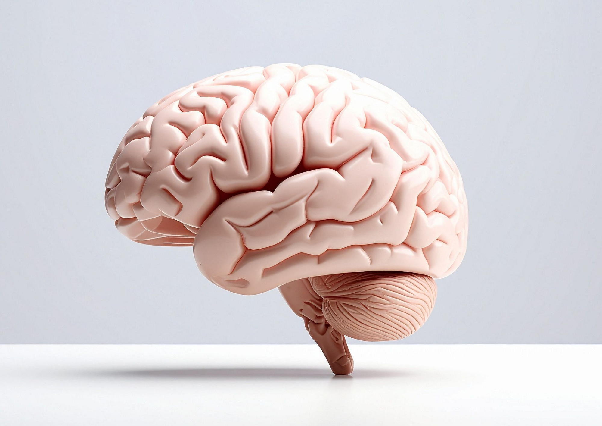 Neurologie la Schnelbach Medical Care